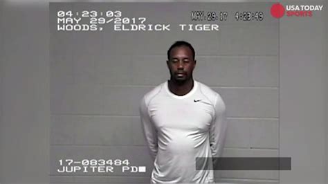 why did tiger woods go to jail