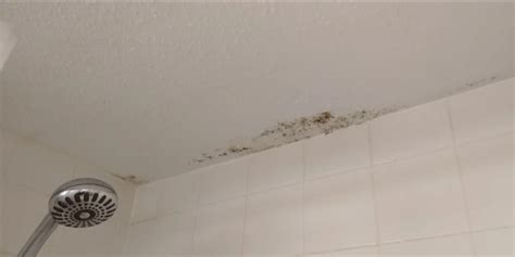 Why Do Bathroom Ceiling Get Mold