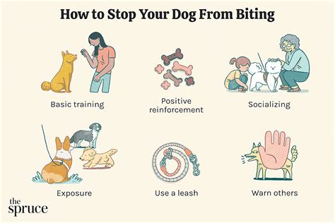 Why Do Dogs Bite Fur