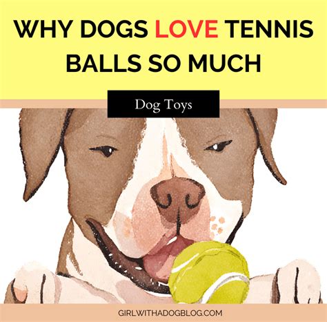 Why Do Dogs Love Exercise