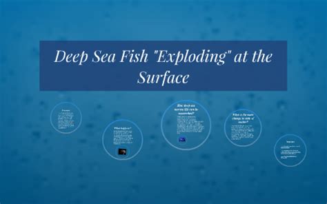 Why Do Fish Explode When Brought To The Surface