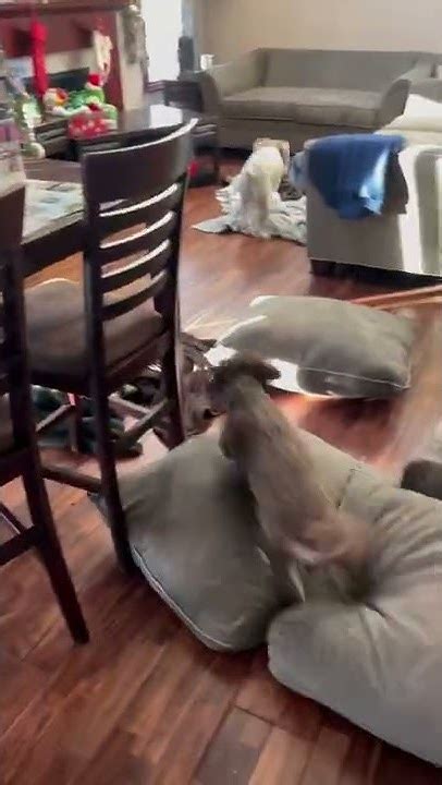 Why Do I Hate Pillows