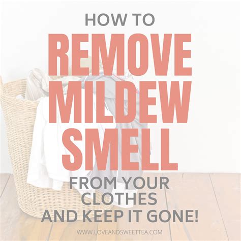 Why Do I Keep Smelling Mildew