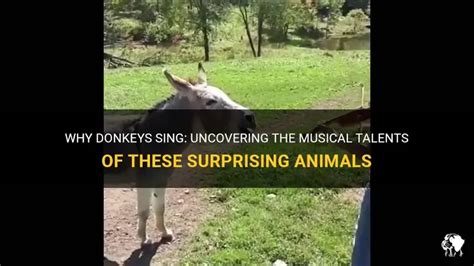 Why Do I Sing Slightly Flat