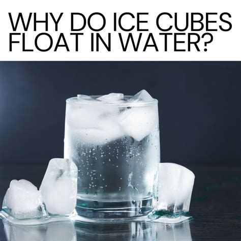 Why Do Ice Cubes Float In Water