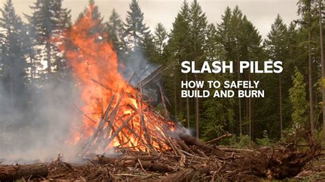 why do loggers use the slash and burn method