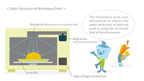 Why Do Microwaves Heat