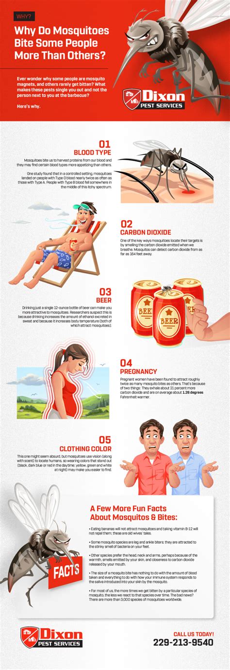 Why Do Mosquitoes Bite In The Same Area