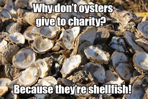 Why do oysters never donate to charity? Because they are shellfish!