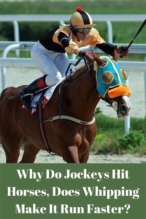 why do people hit horses