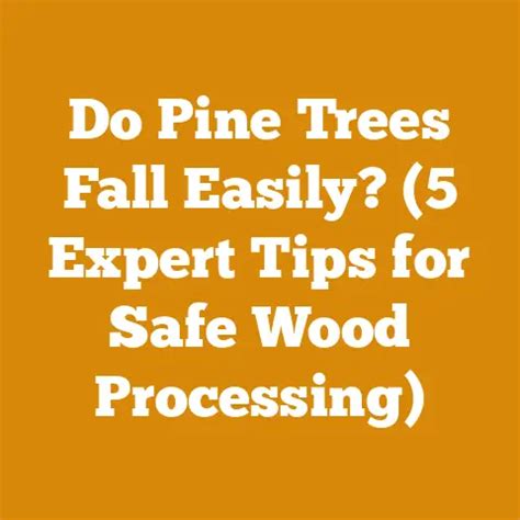 Why Do Pine Trees Fall
