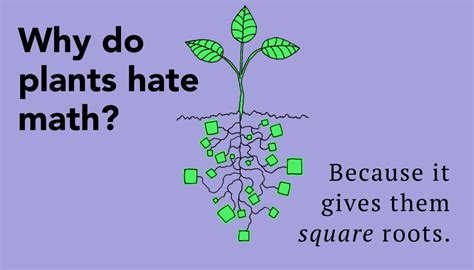 Why Do Plants Hate Math Worksheet