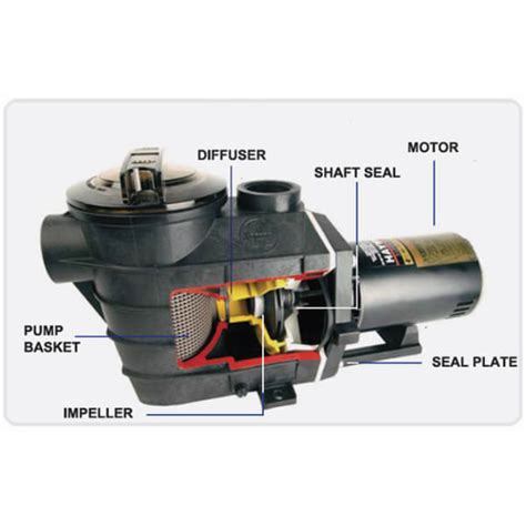 Why Do Pool Pump Bearings Fail