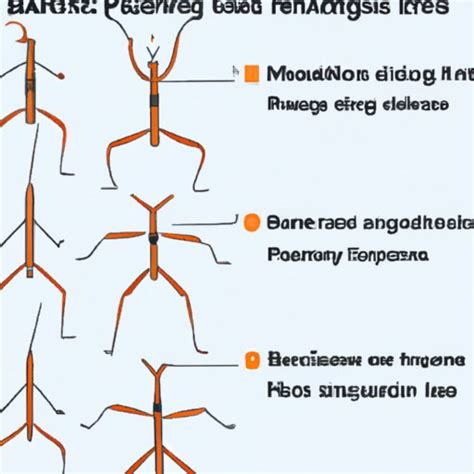 why do stick bugs dance