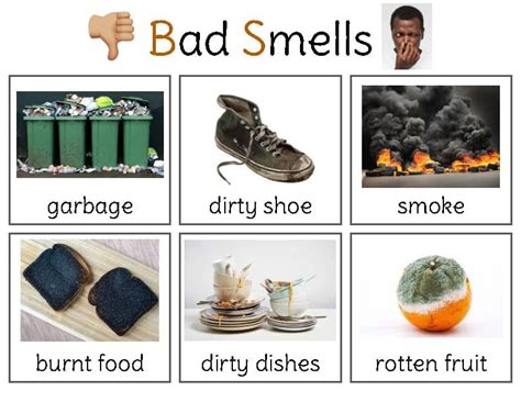 Why Do Things Smell Bad
