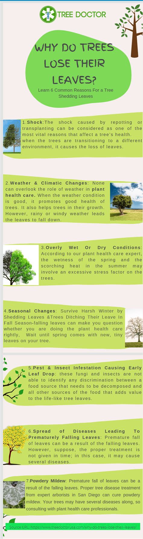 Why Do Trees Leaves Fall Off