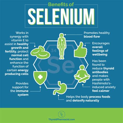Why Do We Need Selenium