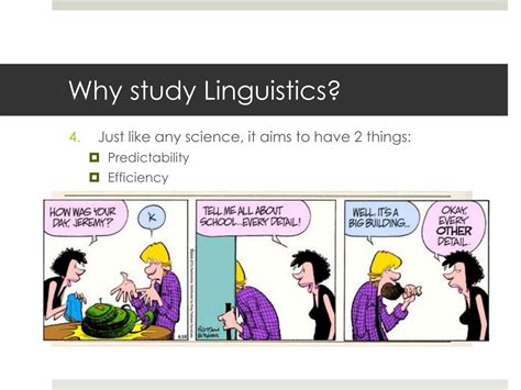 why do we study linguistics
