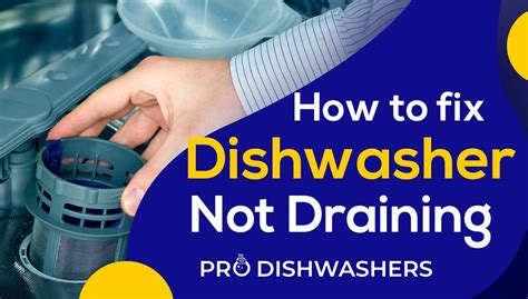 Why Does A Dishwasher Stop Draining