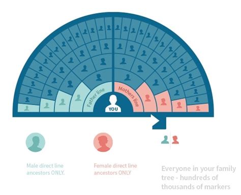 Why Does Ancestry Keep Your Dna