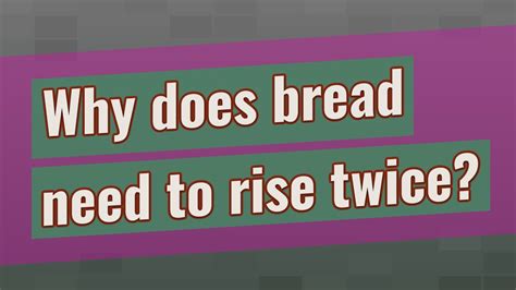 Why Does Bread Need Two Rises