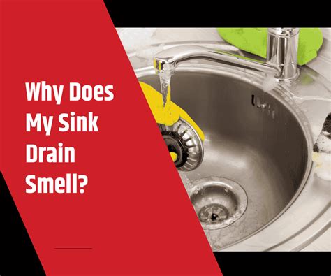 Why Does Drain Smell