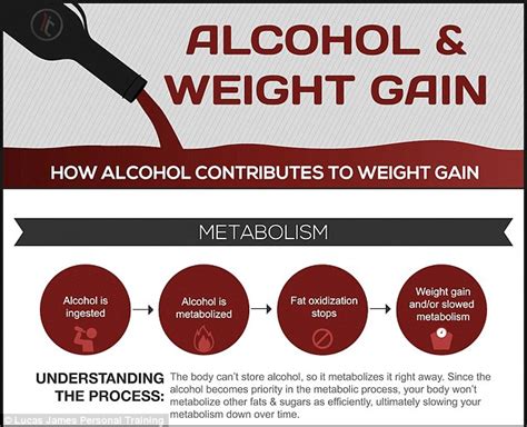 Why Does Drinking Make You Fat