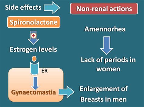 why does eplerenone not cause gynecomastia