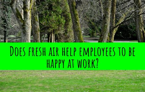 Why Does Fresh Air Help Headaches