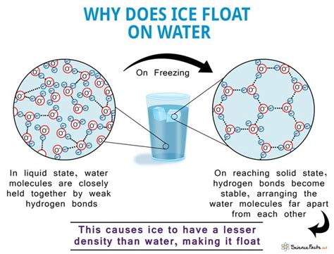 Why Does Ice Float On Water Solution