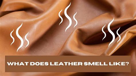 Why Does Leather Smell Weird