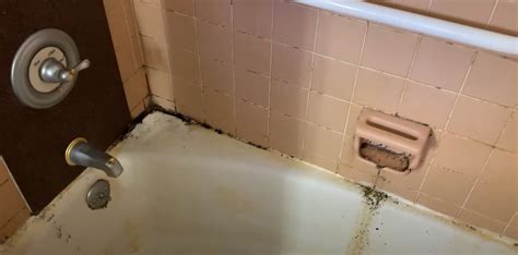 Why Does My Bath Squeak