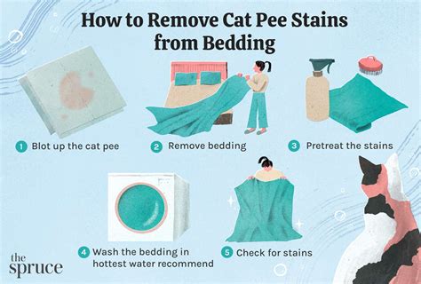 Why Does My Cat Pee On Bedding