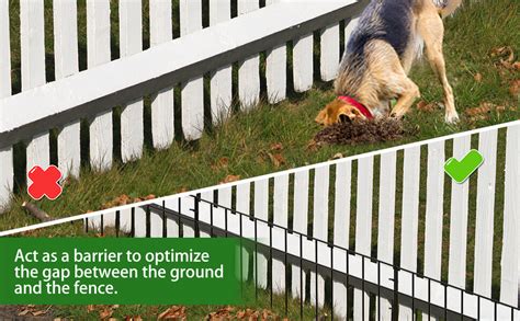 Why Does My Dog Bite The Fence