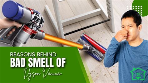 Why Does My Dyson Vacuum Stink