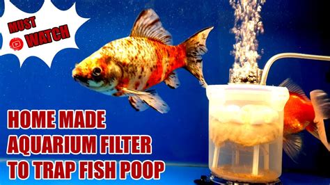 Why Does My Fish Filter Overflow