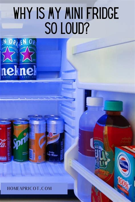 Why Does My Mini Fridge Shake
