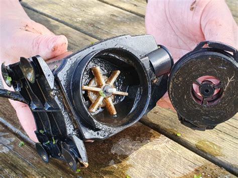 Why Does My Pond Filter Keep Blocking