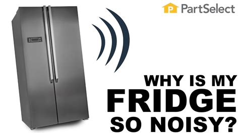 Why Does My Refrigerator Make Noises