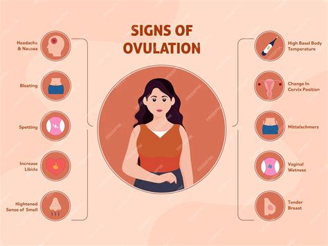 Why Does My Weight Increase During Ovulation