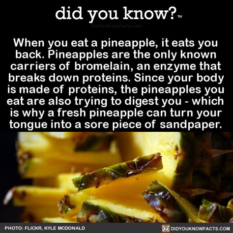 Why Does Pineapple Eat You Back