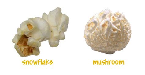 Why Does Popcorn Pop In Different Shapes