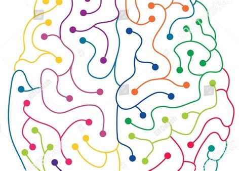 why does the human brain recognize patterns