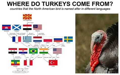 why does turkey not like armenia