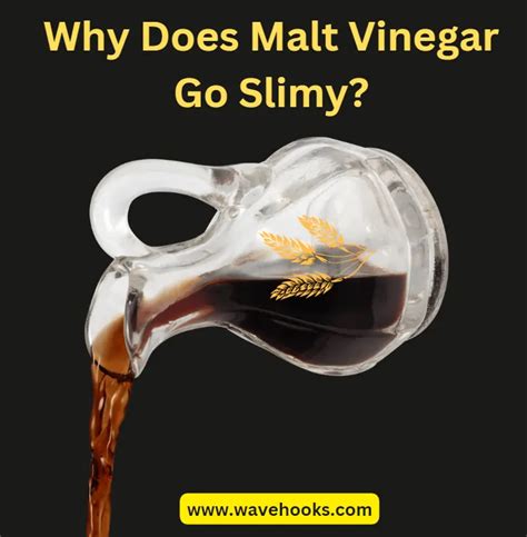 Why Does Vinegar Get Slimy