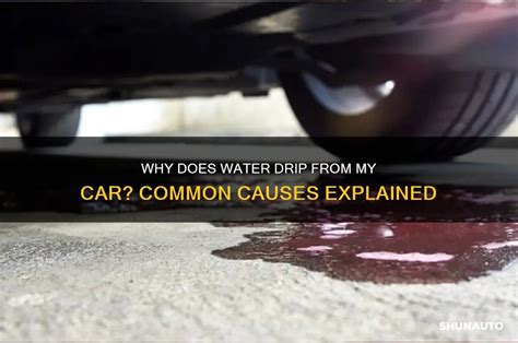 Why Does Water Drip From Under Car