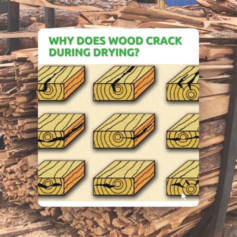 Why Does Wood Crack When It Dries