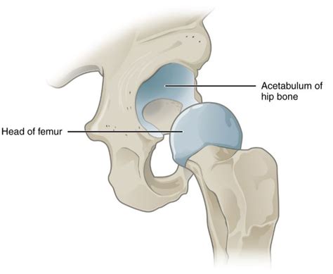 why does your hip pop out of place