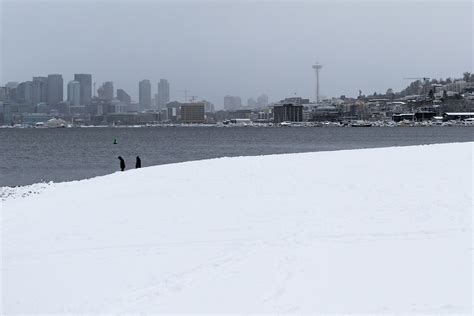 why doesn't seattle get much snow