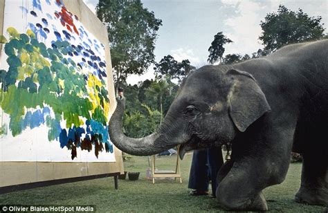 Why Elephant Can Paint